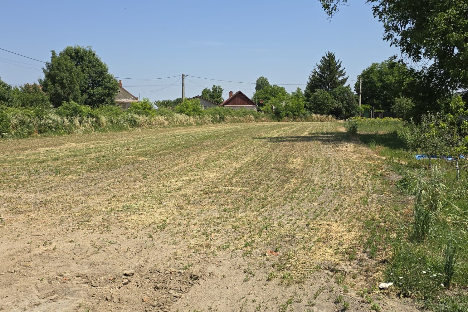 2_Teren intravilan - Loc de casa - NIUVED - 14.900 €