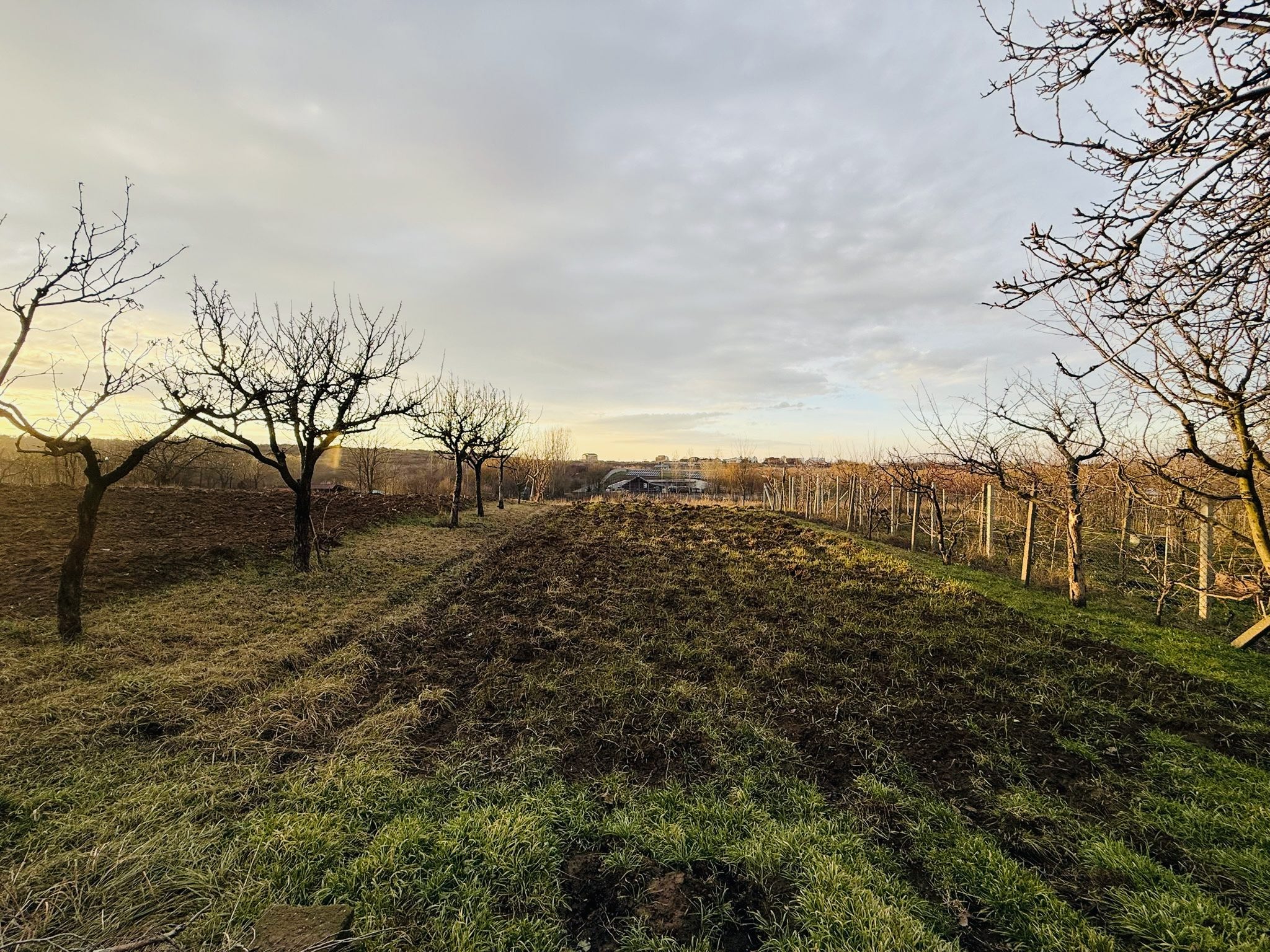 6_DE VÂNZARE - Casă țărănească - Paleu - 69 900 €