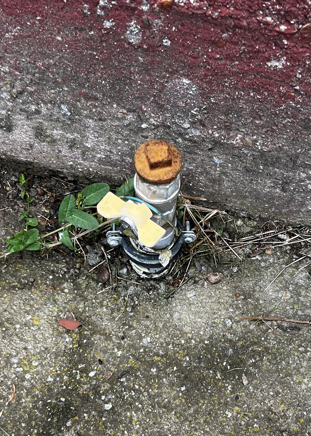 3_Loc de casa / Teren intravilan cu toate utilitatile - Episcopia Bihor - 72.900 €