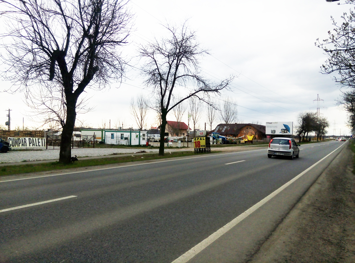 2_DE INCHIRIAT - Teren imprejmuit - Episcopia Bihor - IMOBIHOR 