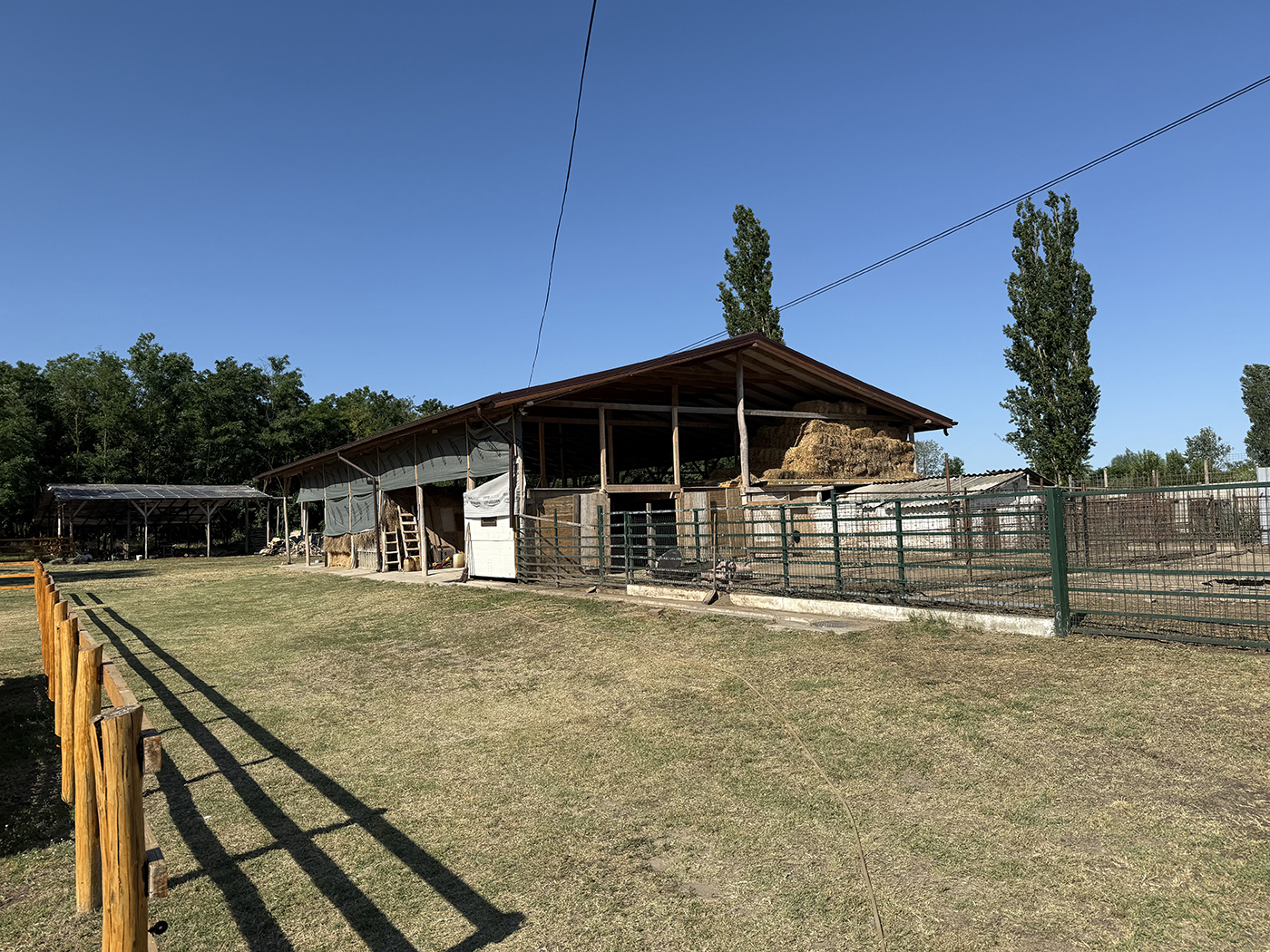 3_Catun / Ferma autorizata 