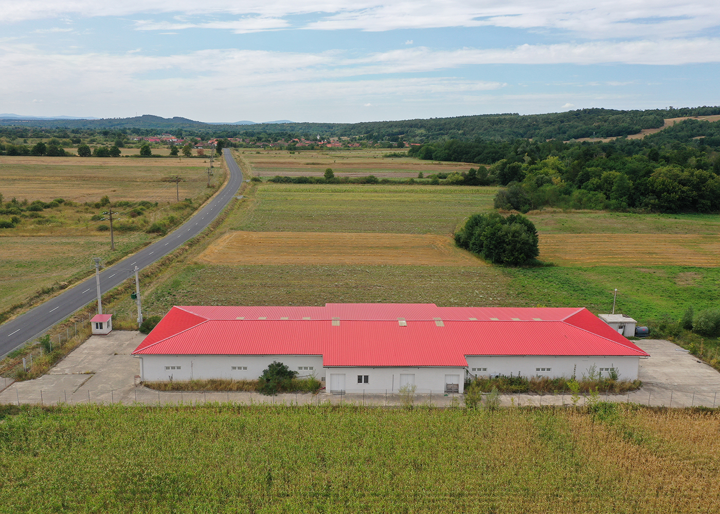 2_Hala de productie ciuperci comestibile / de depozitare - Dezna - AR