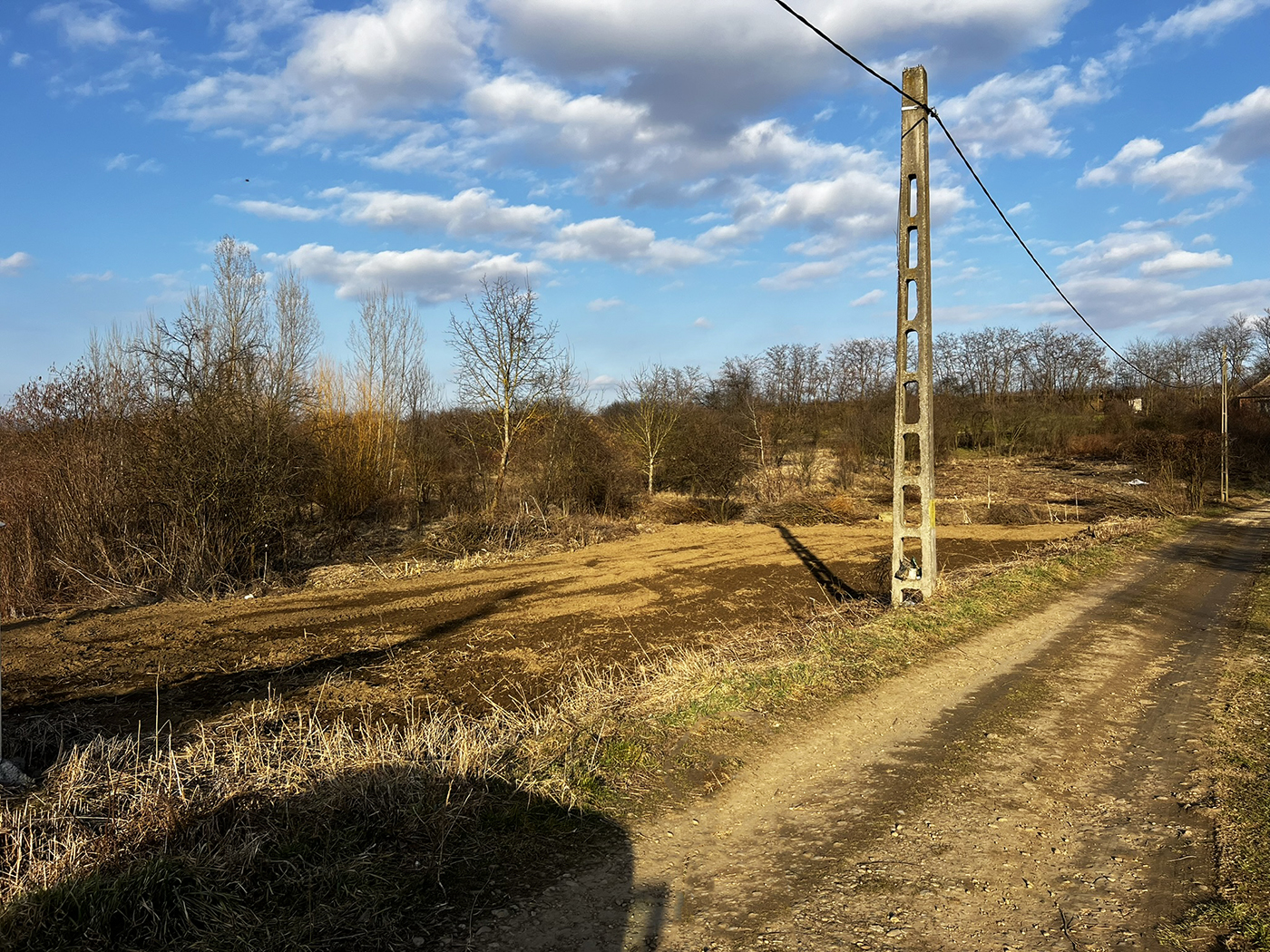 4_Teren intravilan - Loc de casa - Diosig 
