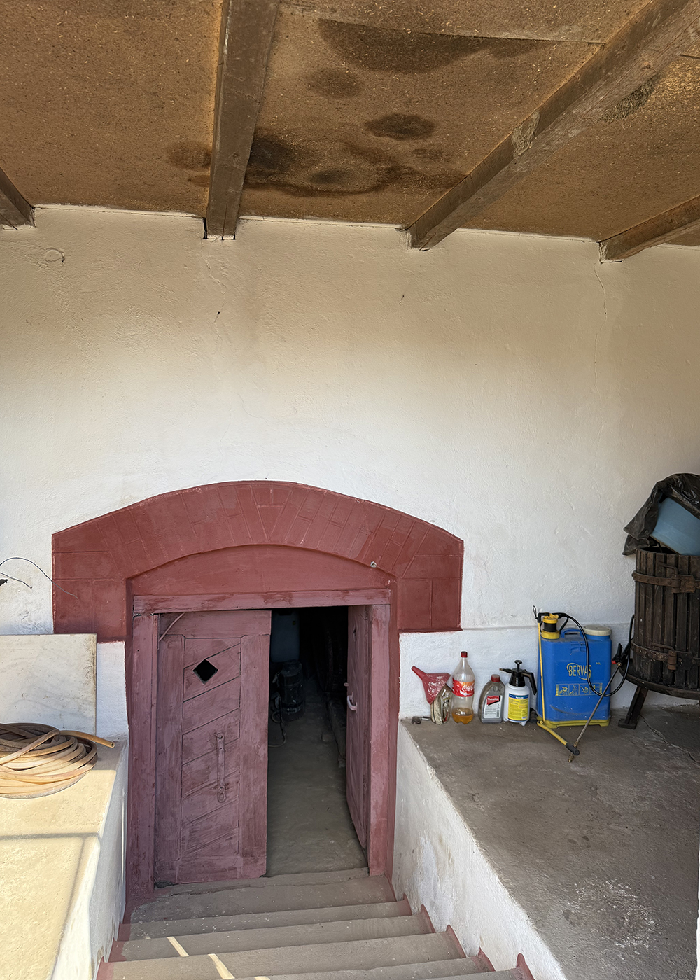 11_Casa cu teren 8000 mp. - Cetariu - 127.900 €