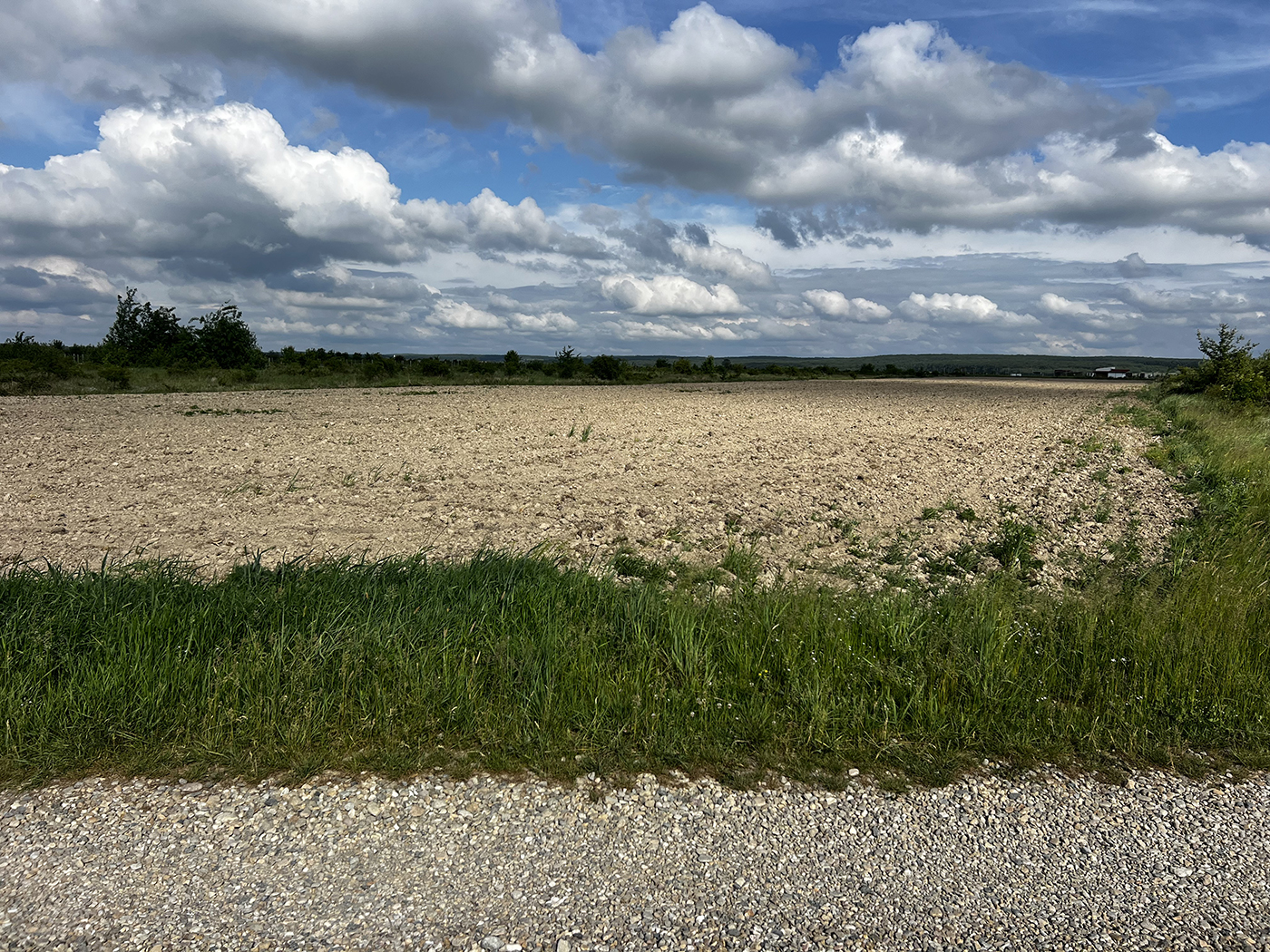 4_teren intravilan parcelabil - Pausa comuna Nojorid - IMOBIHOR 