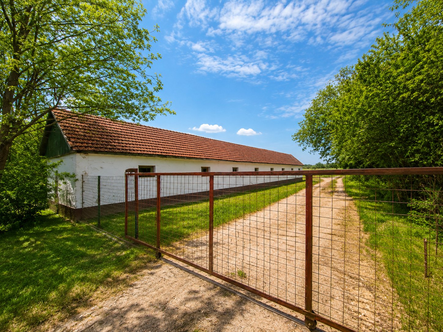 2_Proprietate imobiliara cu potential de dezvoltare ridicata - 99.900 €
